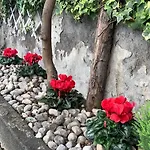 Lejlighedshotel Pompei Duplex Deluxe 4*