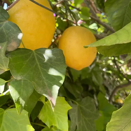 Pompei Duplex Deluxe 아파트호텔 4*