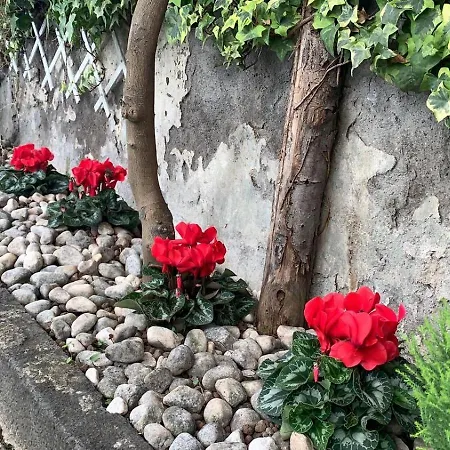 아파트호텔 Pompei Duplex Deluxe 4*